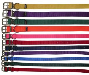 Hundehalsband Prism Choice aus Nylon 2,5 cm breit Halsband für Hunde  Halsband Hund in Pink & 23
