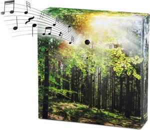 Vogelgezwitscher Soundbox mit Waldgeräuschen - 12 cm - Lautsprecher mit Vogelgesang und Waldkulisse