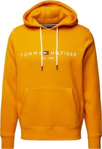 Sweatshirts Tommy Hilfiger MW0MW11599SG3