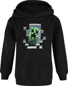 Minecraft - "Inside" Kapuzenpullover für Jungen NS6451 (104) (Schwarz)