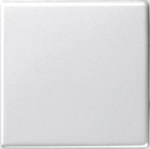029603 Wippe Wechselschalter RG