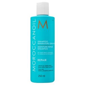 Moroccanoil Repair Moisture Repair Shampoo Shampoo für trockenes und geschädigtes Haar 250 ml