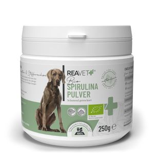 REAVETSpirulina Pulver für Hunde & Katzen 250g – Mikroalge unterstützt Haut & Fell, Immunsystem & Stoffwechselprozesse, Biologischer Anbau, Vitamine & Mineralstoffe
