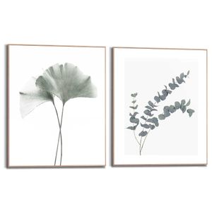 Bilder Set Slim Frame Eukalyptus blatt  Pflanze - Ginkgo - Naturmotiv - Botanisch