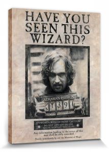 Harry Potter Poster Leinwandbild Auf Keilrahmen - Sirius Black Gesucht (80 x 60 cm)
