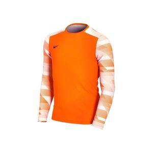 Nike Park IV Torwarttrikot Kinder