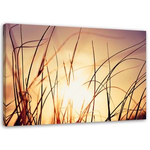 Feeby Leinwandbild Wandbilder 100x70 Horizontal Landschaften Lila Sonnenuntergang Natur Gras Pflanzen
