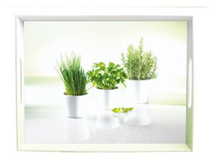 emsa Serviertablett CLASSIC Motiv: Herbs 500 x 370 mm