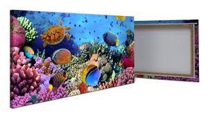 Leinwandbild Korallenriff mit Fischen M0480 – 60x40cm