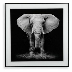 Bild Elephant (2 x 50 x 50 cm)