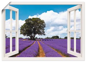 Patrickw: Fensterblick - Schönes Lavendelfeld im Sommer, Produkt:Poster, Größe (HxB):70x100 cm / Poster