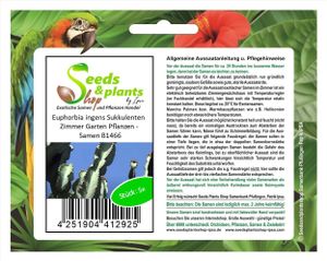 5x Euphorbia ingens Sukkulenten Zimmer Garten Pflanzen - Samen B1466