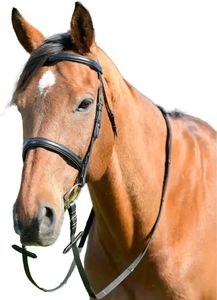 Kincade - Kappzaum mit Zügeln für Pferde "Classic", Leder WB2236 (Warmblut) (Schwarz)
