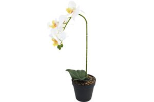 Künstliche Orchidee Weiss im Topf Höhe 40 cm Kunstblume Pflanze