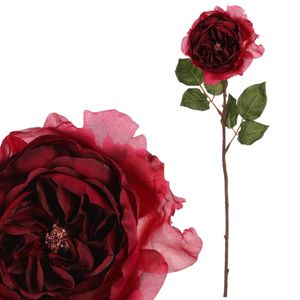 Anglická ruža, bordová farba. UKK352 BOR