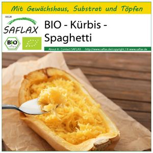 SAFLAX Anzucht Set -- Kürbis - Spaghetti - Cucurbita pepo - 5 Samen - Mit Mini-Gewächshaus, Anzuchtsubstrat und 2 Töpfen