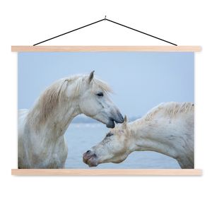 MuchoWow® Textilposter Pferd flüstert einem anderen Pferd in der Camargue etwas zu 60x40 cm mit holzfarbenen Rahmen - Bilder