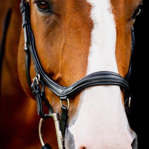 Horseware Ireland Trense Micklem 2 Diamante Competition Bridle Micklemtrense Black Large Cob