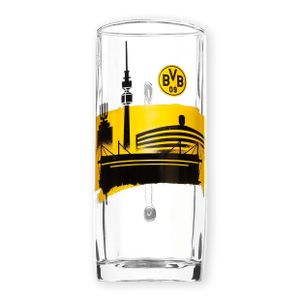 Borussia Dortmund BVB Bierglas Bierkrug Skyline