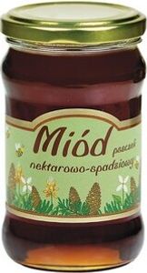 Sadecki Bartnik Nectarowo - Spadziowy Miód 370G