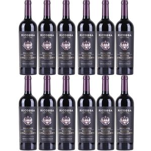 Ricossa Barbera DOC Appasimento Rotwein Wein halbtrocken Italien (12 Flaschen)