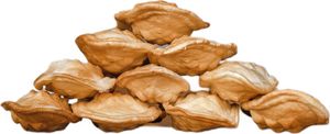 Bergkäse 10x35g - Schronisko Bukowina