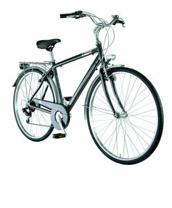 Trekkingbike New Central Man 28 Zoll Grau