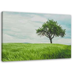 Feeby Leinwandbild Wandbilder 100x70 Horizontal Landschaften Grün e Baum Landschaft Natur