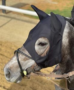 Fenwick Equestrian Maske Liquid Titanium mit Ohren Therapeutische Maske Schwarz L Fenwick Equestrian Maske Liquid Titanium mit Ohren Therapeutische Maske Schwarz L