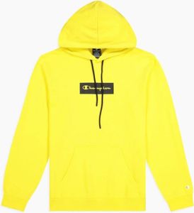 Champion Hoodie Hooded Sweatshirt