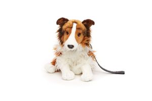 Collie mit Blesse sitzend 35 cm Kuscheltier Hund