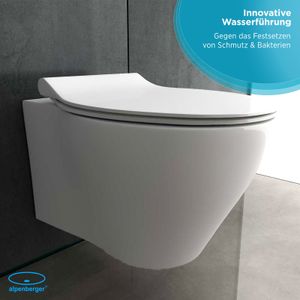 Alpenberger Spülrandloses Tiefspül-WC aus hochwertiger Sanitärkeramik | Abnehmbarer WC-Sitz mit SoftClose Absenkautomatik | inkl. Befestigungsset | passend zu GEBERIT