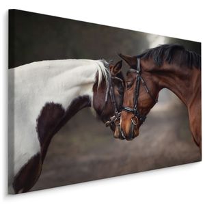 Fabelhafte Canvas LEINWAND BILDER 90x60 cm XXL Kunstdruck Tiere Pferde Wald Bäume