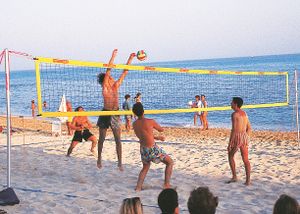SunVolley Beachvolleyball-Netz "Standard", 9,5 m