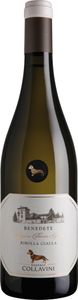 Ribolla Gialla IGT delle Venezie 2024 Friaul-Julisch Venetien | Italien | 12,5% vol | 0,75 l