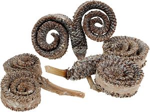 Palm Male Weiß Gewaschen 25 St - Exotische Dekoration, Floristikbedarf, Naturdeko