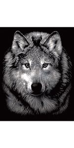 Kratzbild "Wolf", Silber, 11 x 18 cm