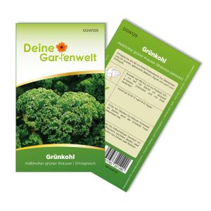 Grünkohl Halbhoher grüner krauser Samen - Brassica oleracea - Grünkohlsamen - Gemüsesamen - Saatgut für 250 Pflanzen