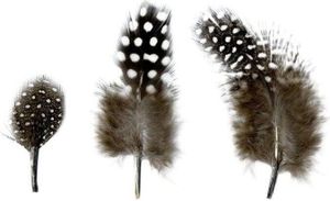 Natürliche Federn 2 bis 6 cm - 3 g