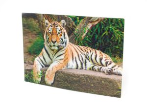 3 D Ansichtskarte Tiger, Raubkatze Postkarte Wackelkarte Hologrammkarte Tiere Tier