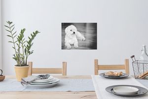 Wandtattoo Wandsticker Wandaufkleber Schwarz-Weiß-Bild eines Maltesers 40x30 cm Selbstklebend und Repositionierbar