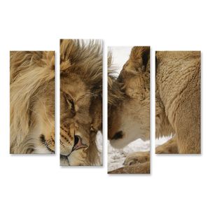 Bild auf Leinwand Löwe und Löwin kuschelnd Zärtlich Harmonie Partnerschaft Liebe Wandbild Leinwandbild Wand Bilder Poster 130x80cm 4-teilig