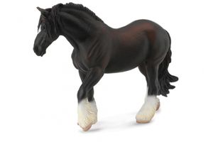 Shirský kůň - černý