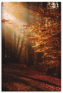 ARTland Leinwandbild Sonnenaufgang im Herbst Größe: 40x60 cm