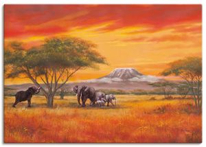 ARTland Leinwandbilder Elefanten Größe: 60x30 cm