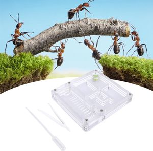 Akrylová priehľadná mravenisko hniezdo Formicarium Display Box Dekoratívne