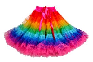 Kostüm Zubehör Petticoat Rock Regenbogen bunt Karneval Fasching