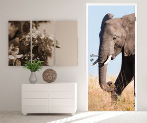 Türaufkleber - Elefant II