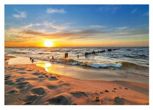 Vlies Fototapete Meer Strand Palmen Ostsee Sonnenuntergang (416x254 cm - inkl. Kleister) Wohnzimmer Schlafzimmer Modern Vliestapete Tapete Wandtapete