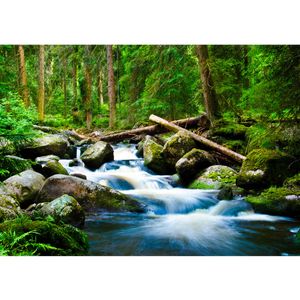 Fototapete Waterfall Woods Wald Tapete Wald Wasserfall Natur Baum grün grün | no. 31, Größe:400x280 cm, Material:Fototapete Vlies - PREMIUM PLUS